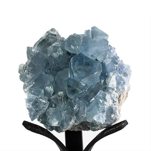 Celestite Cluster