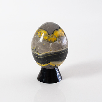 Jasper , Bumblebee  Egg