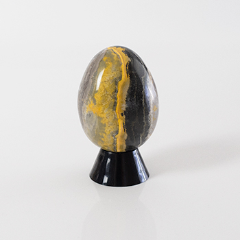 Jasper, Bumblebee  Egg