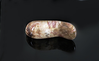 Petrified Wood Massage Tools