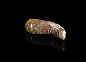 Petrified Wood Massage Tools