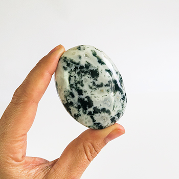 Agate, Tree Palm Stone