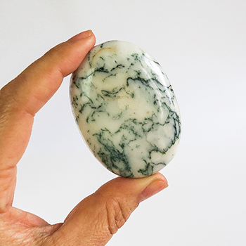Agate,Tree Palm Stone