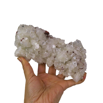 Apophyllite Cluster