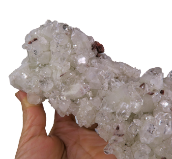 Apophyllite Cluster #3