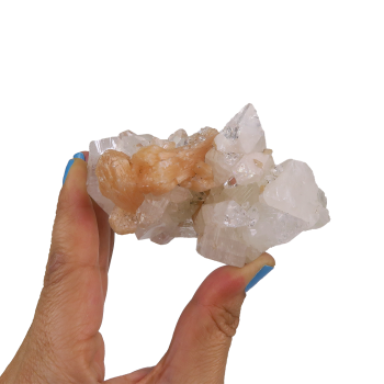 Apophyllite Cluster