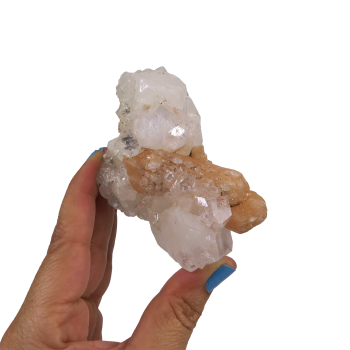 Apophyllite Cluster #2