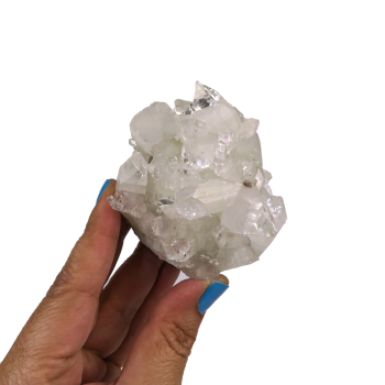 Apophyllite Cluster