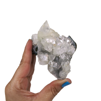 Apophyllite Cluster
