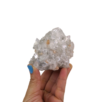Apophyllite Cluster