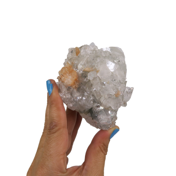 Apophyllite Cluster #3