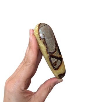 Septarian Massage Wand