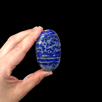 Lapis Palm Stone