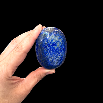 Lapis Palm Stone