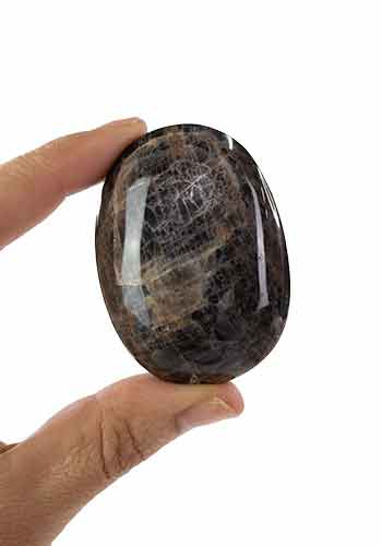 Black Moonstone Palm Stone