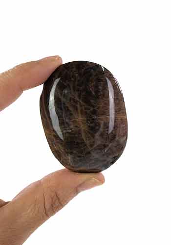 Black Moonstone Palm Stone