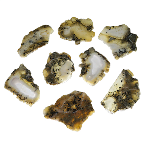 Dendritic Agate Slab 8 Pack