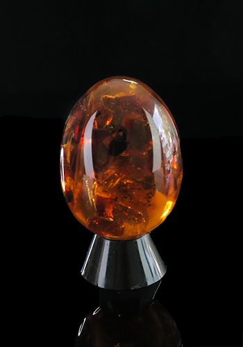 Amber Egg