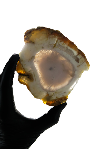 Dendritic Agate Slab