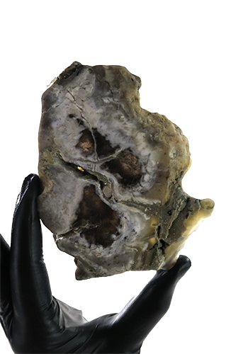 Dendritic Agate Slab