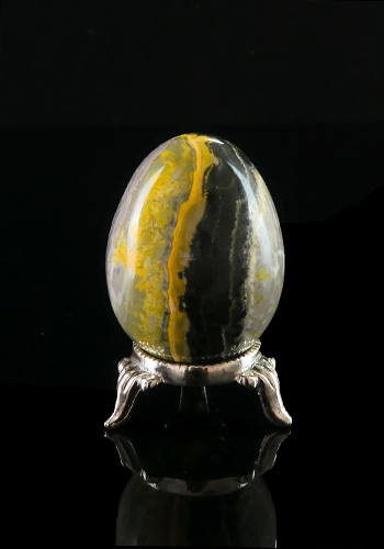 Jasper, Bumblebee  Egg