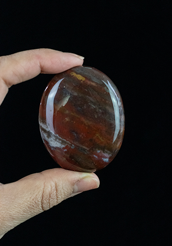 Bloodstone Palm Stone