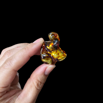 Amber Free form