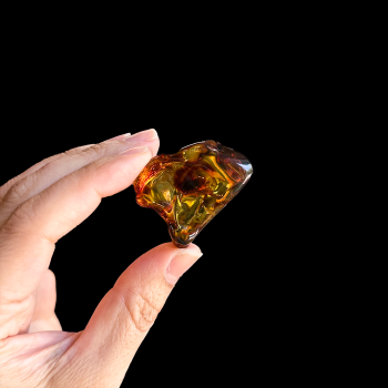 Amber Free form