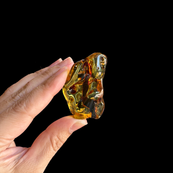 Amber Free form