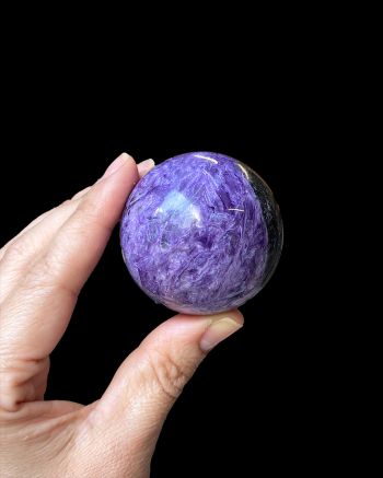 Charite Sphere