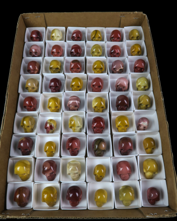 Mookite Skull-(Unit) #4