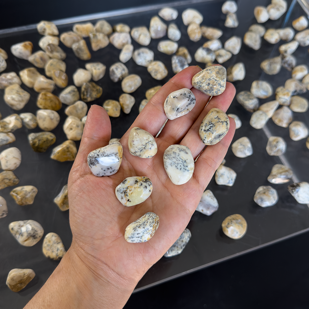 Tumbled Agate Dendritic