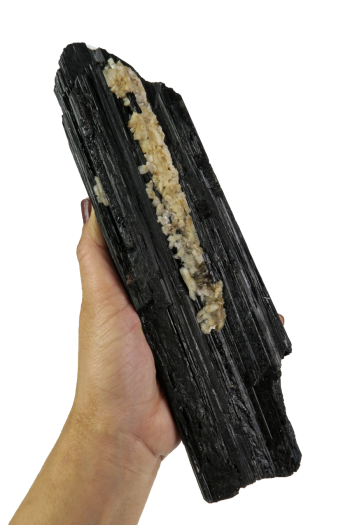 Black Tourmaline Log #2