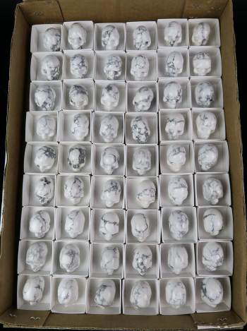 Howlite Skull- (Unit) #3