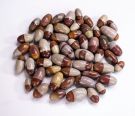 Shiva Lingams HIgh Grade