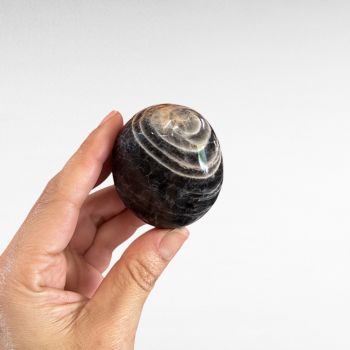 Black Moonstone Palm Stone