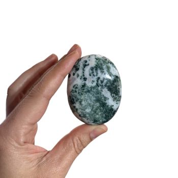Agate, Tree Palm Stone