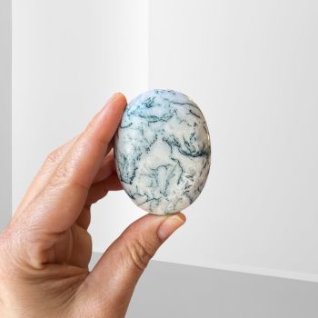 Agate, Tree Palm Stone