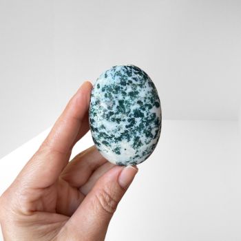 Agate, Tree Palm Stone