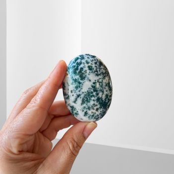 Agate,Tree Palm Stone