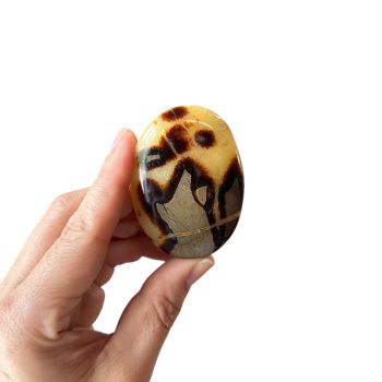 Septarian Palm Stone