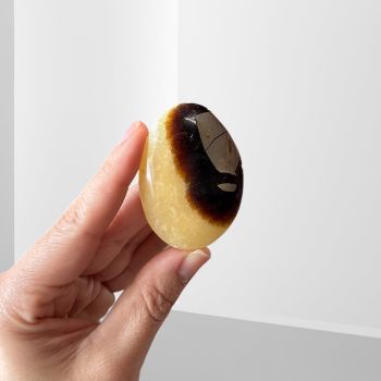 Septarian Palm Stone