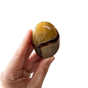 Septarian Palm Stone