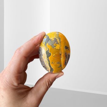Bumblebee Jasper Palm Stone