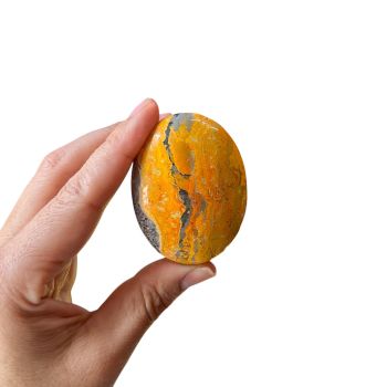 Bumblebee Jasper Palm Stone