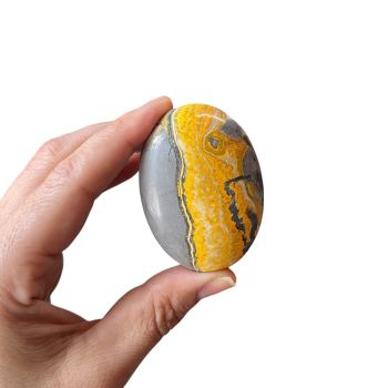 Bumblebee Jasper Palm Stone